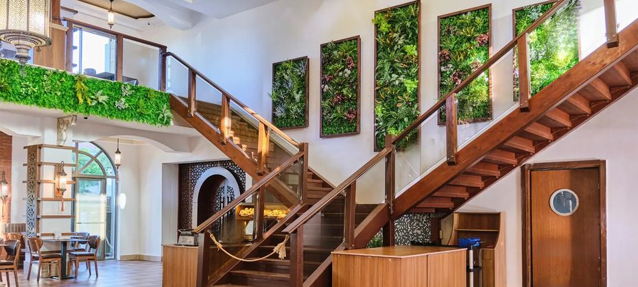 Misal (ex. Nox Inn Club)