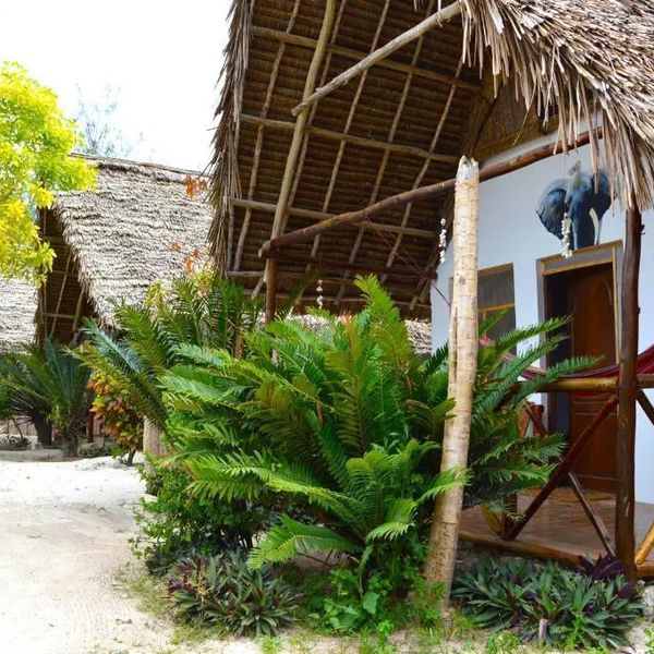 New Jambo Bungalows – 2025-11-23 - Zdjęcie 3