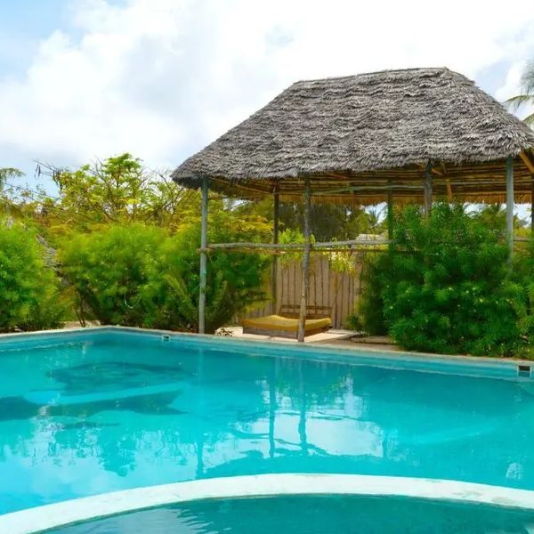 New Jambo Bungalows – 2025-11-23 - Zdjęcie 3