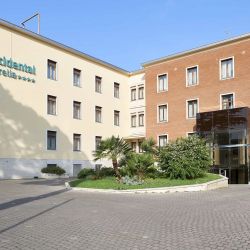 Occidental Aurelia