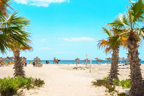 Occidental Marco Polo (ex. Concorde Marco Polo)