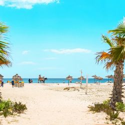 Occidental Marco Polo ex Concorde Marco Polo