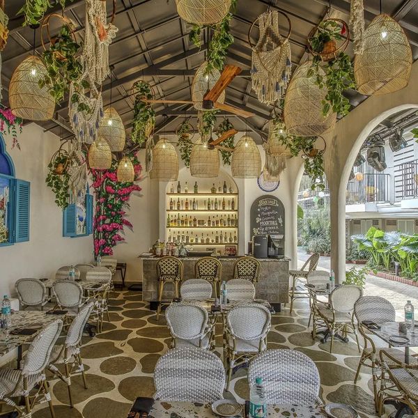 Ocean Palms – 2026-09-22 - Zdjęcie 2