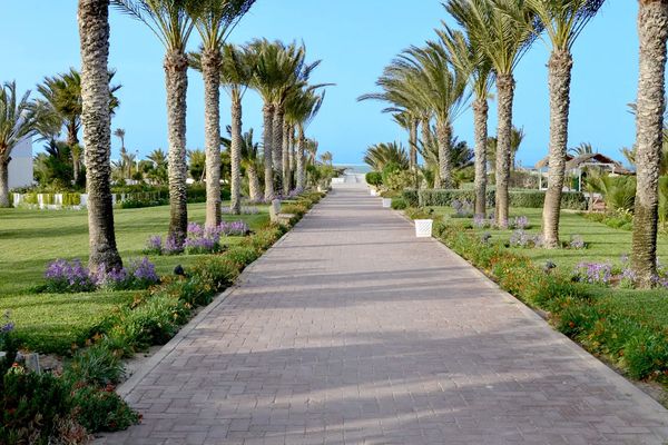 Palace Royal Garden (ex Riu)