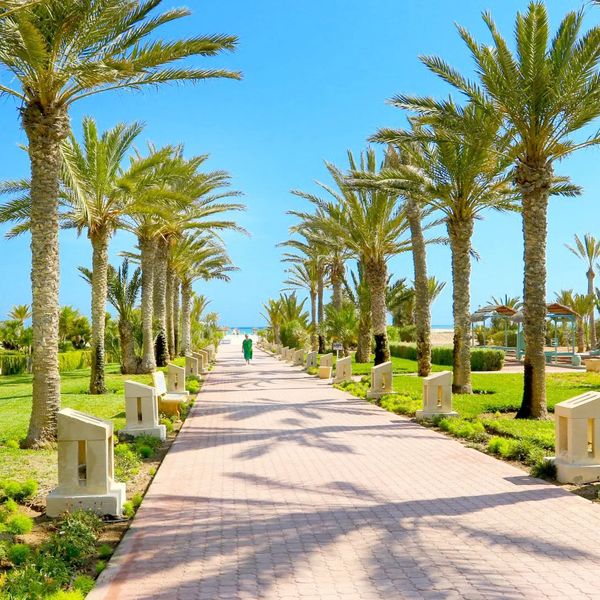 Palace Royal Garden (ex Riu) - zdjęcie 3