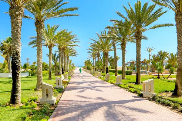 Palace Royal Garden (ex Riu)