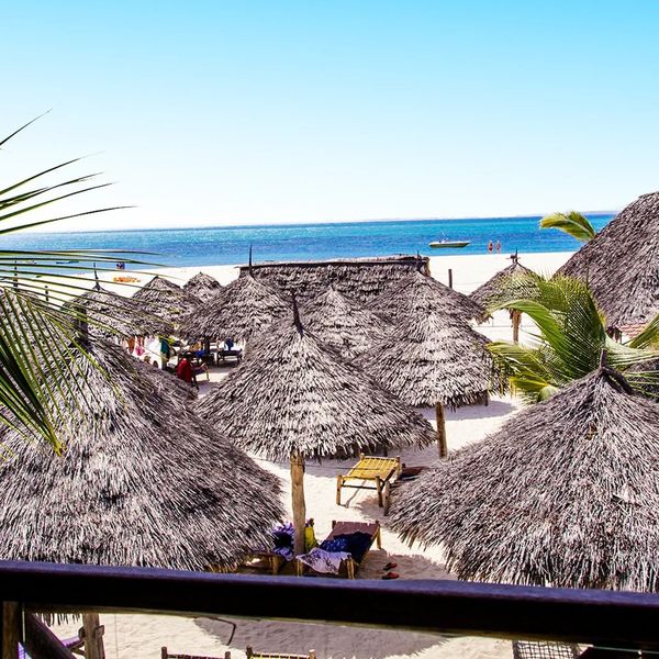 Palumbo Kendwa – 2026-08-31 - Zdjęcie 3