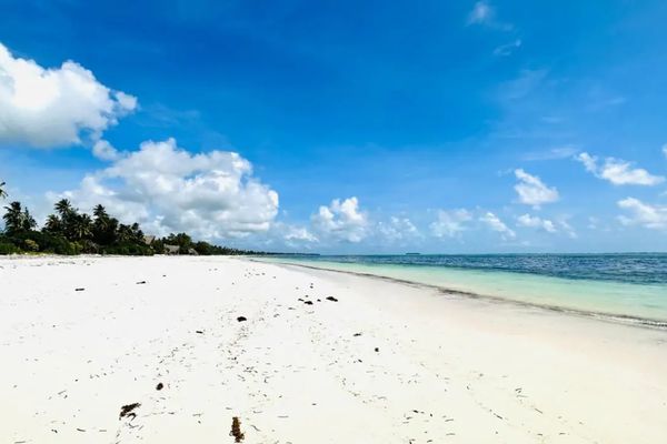 Palumbo Mnemba View Resort