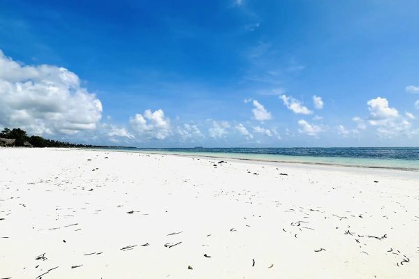 Palumbo Mnemba View Resort