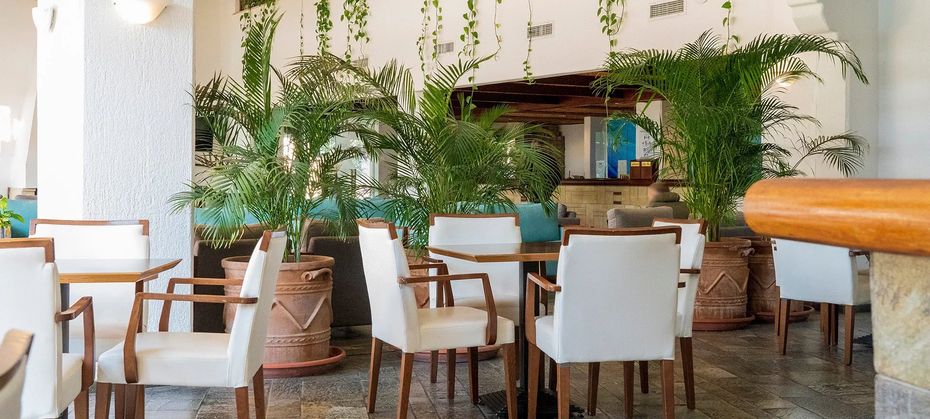 Paphos Gardens Holiday Resort
