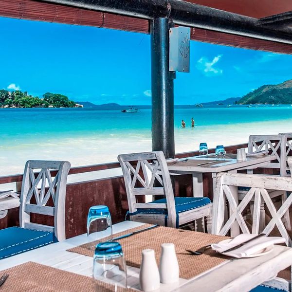 Paradise Sun – 2026-08-26 - Zdjęcie 3