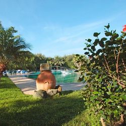 Park Terme Mediterraneo