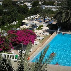 Pefkos Breeze ex Thalia