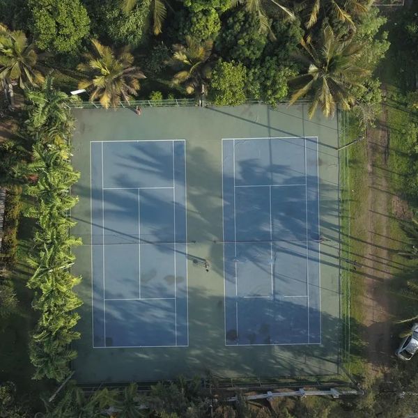 Pegasus Reef – 2026-06-11 - Zdjęcie 2