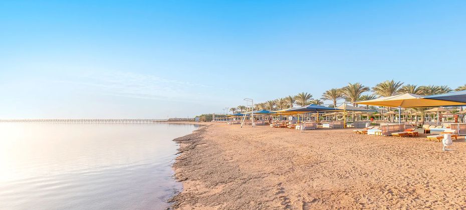 Pickalbatros Royal Moderna