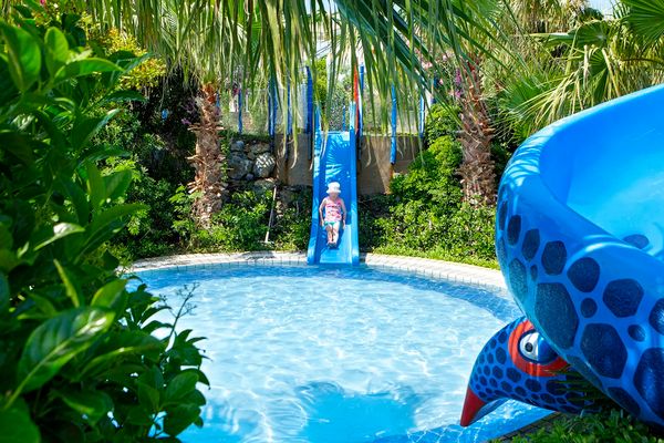 Pine Bay Resort