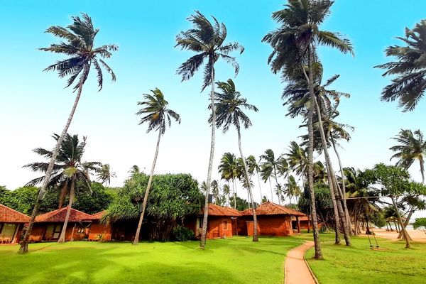 Ranweli Holiday Village