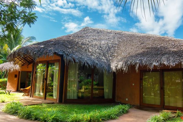 Ravintsara Wellness