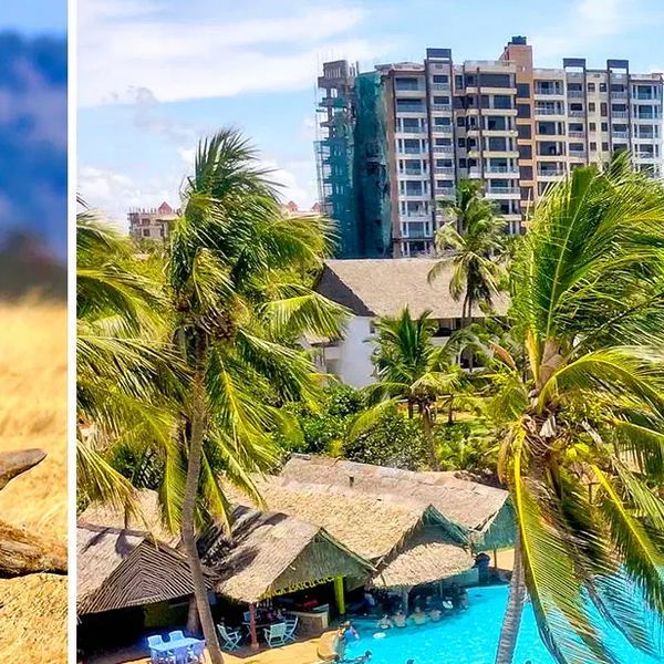 Powitanie z Afryką / Reef Hotel