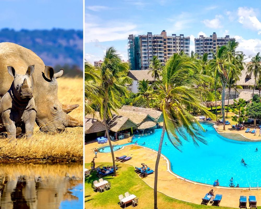 Powitanie z Afryką / Reef Hotel