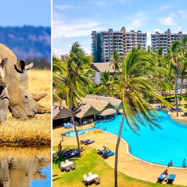 Powitanie z Afryką / Reef Hotel