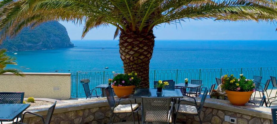 Royal Palm (Forio)