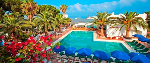Royal Palm (Forio)