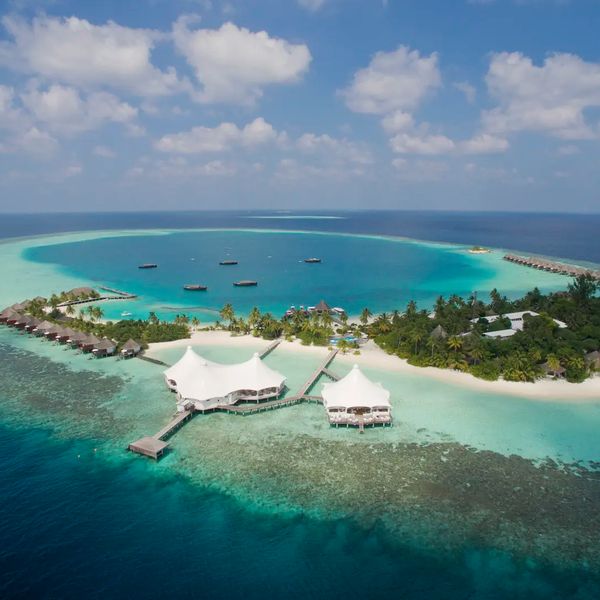 Safari Island