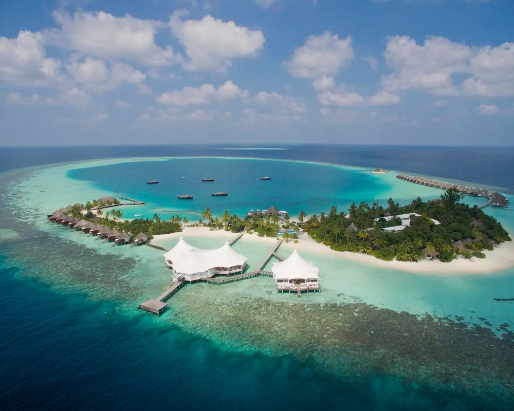 Safari Island