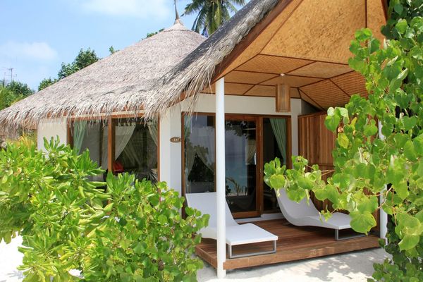 Safari Island