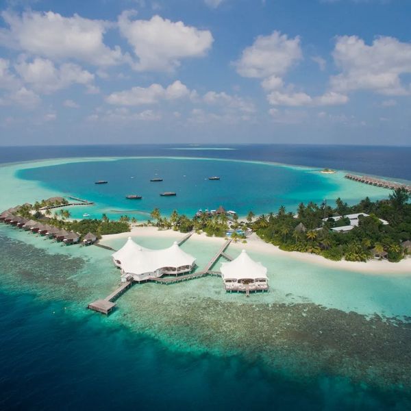 Safari Island