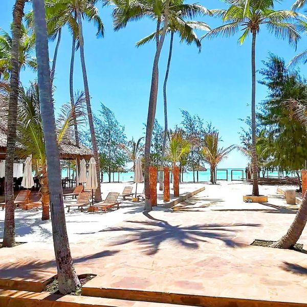 Sbh Monica Zanzibar – 2026-10-19 - Zdjęcie 2
