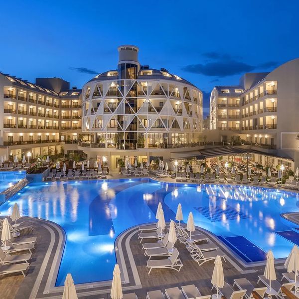 Seashell Vega (ex. Side Crown Sunshine)