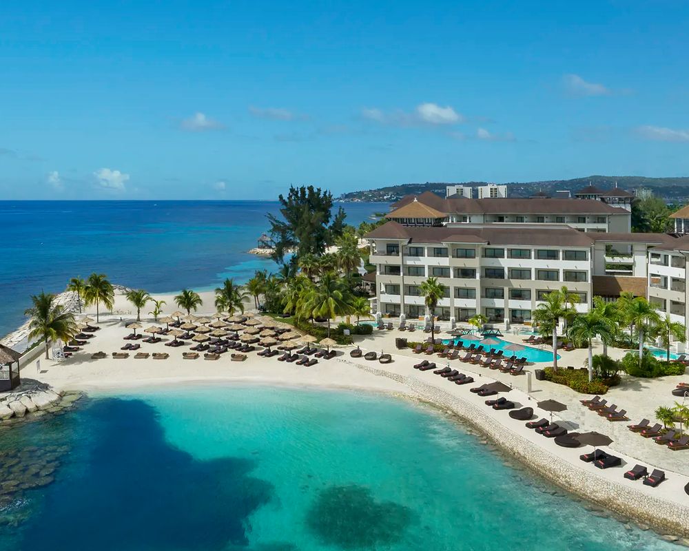 Secrets Wild Orchid