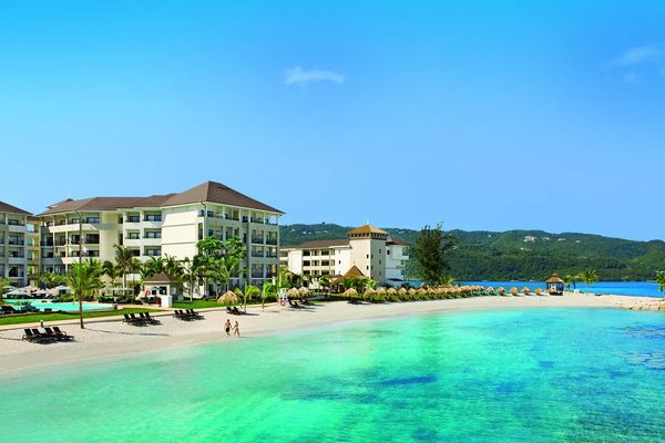 Secrets Wild Orchid