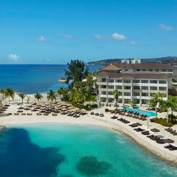 Secrets Wild Orchid