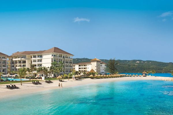 Secrets Wild Orchid