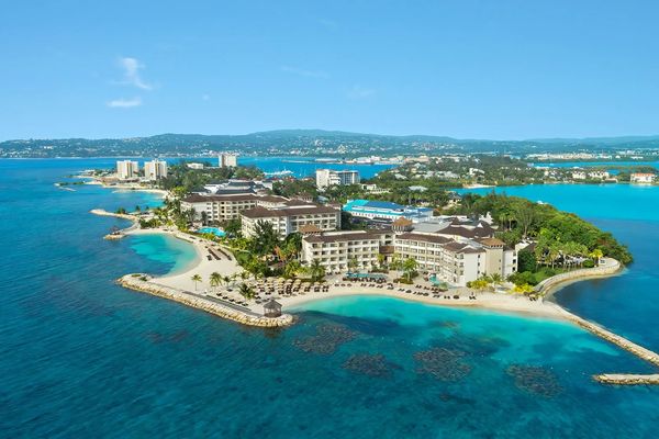 Secrets Wild Orchid
