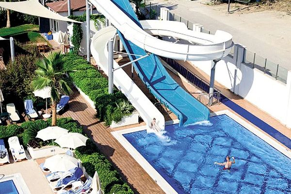 Trendy Verbena Beach