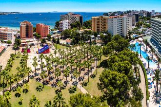 Sol Palmanova ex Mirlos Tordos