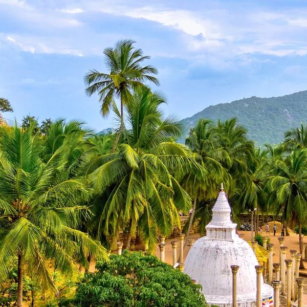 Sri Lanka – Perły Północy – 2025-12-11