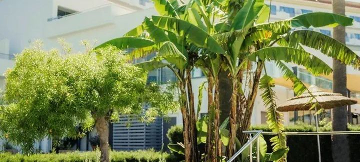 St. George Beach Hotel & Spa Resort