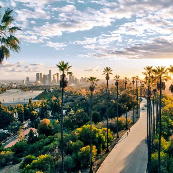 Stany Zjednoczone Ameryki - California Dreams
