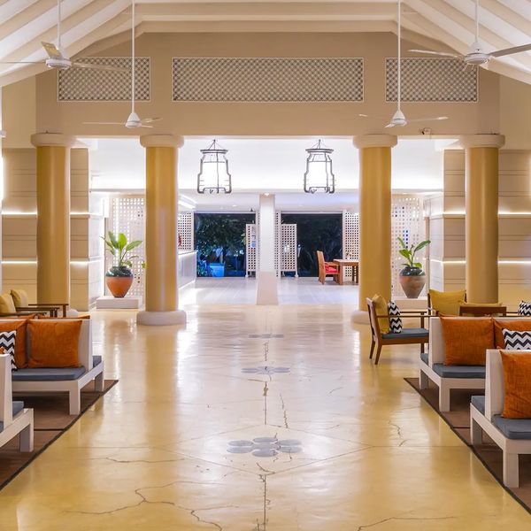 Sunshine Garden – 2026-06-18 - Zdjęcie 2