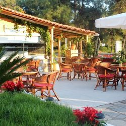Thassos Potos