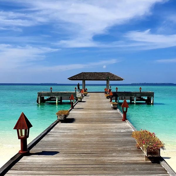 The Barefoot Eco – 2026-05-12 - Zdjęcie 3