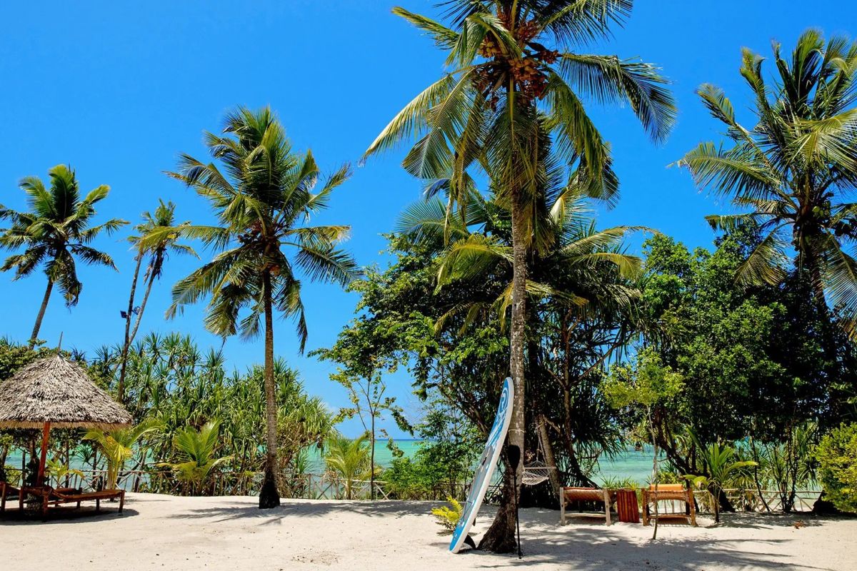 Zanzibar (7 dni) w Tikitam Palms Boutique z Katowic (BB)