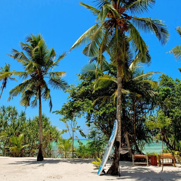 Tikitam Palms Boutique — Zanzibar, Tanzania