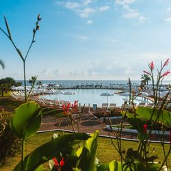 Torre Cintola Natural Sea Emotions