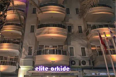 Elite Orkide